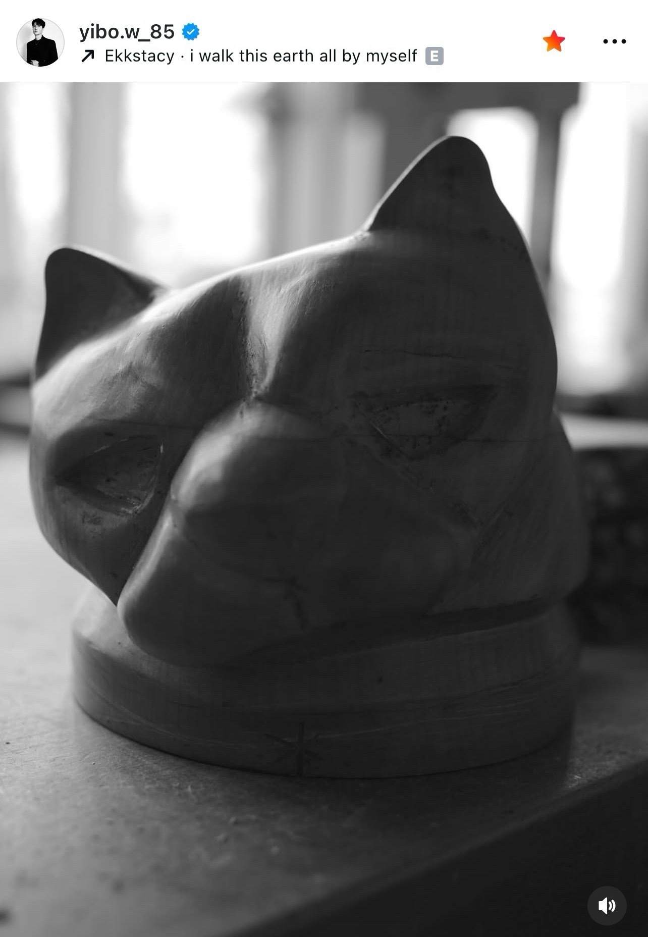 王一博  王一博：遇到猫头就拍下来并发出去表示博托是真的王一博 摩托姐姐