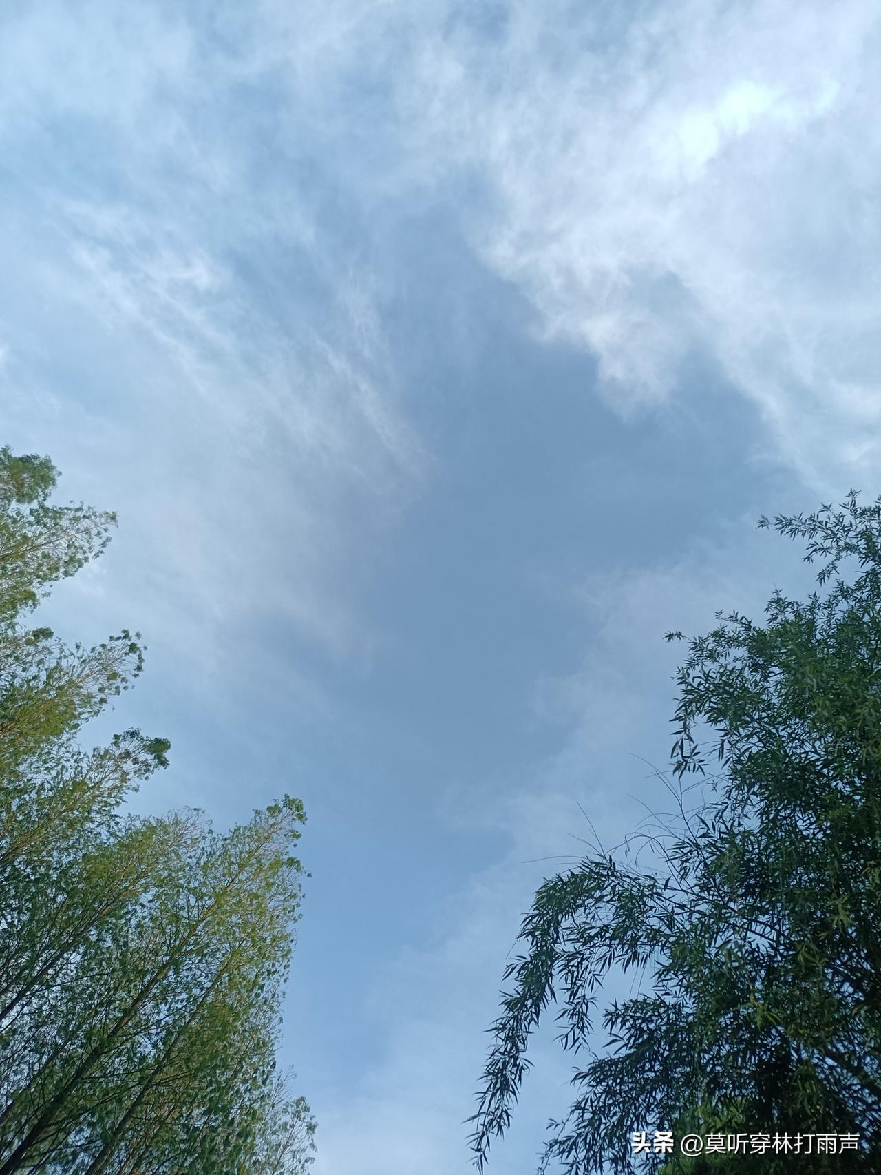 在股市想赚钱就得有格局和定力！

昨天股市一大跌，很多股民就抱怨骂骂咧咧了，却不