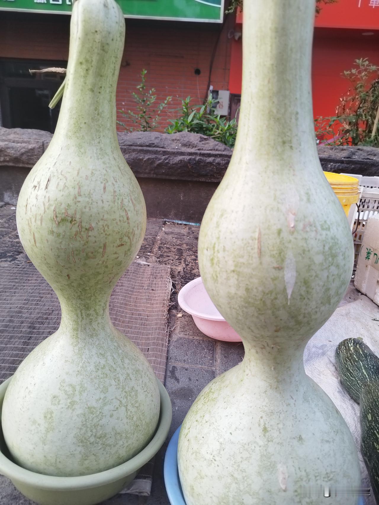 普通人最好的活法，从不执念灵魂，只忠于生活。
 
读《刀锋》男主拉里，挣脱世俗、