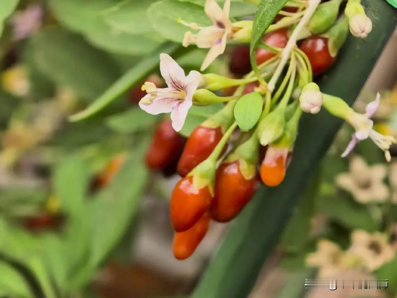 10月阳台