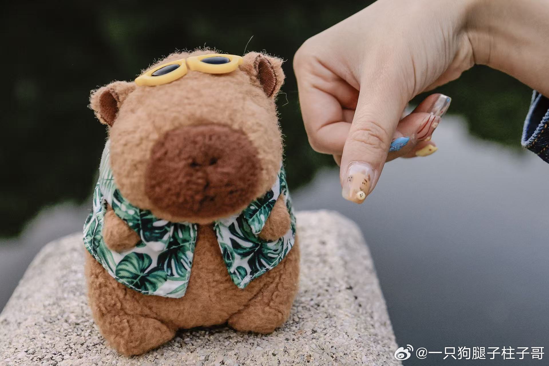 柱子哥是谁？一个在互联网上真实完整记录自己从28岁到35岁人生的普通人，关注肿瘤