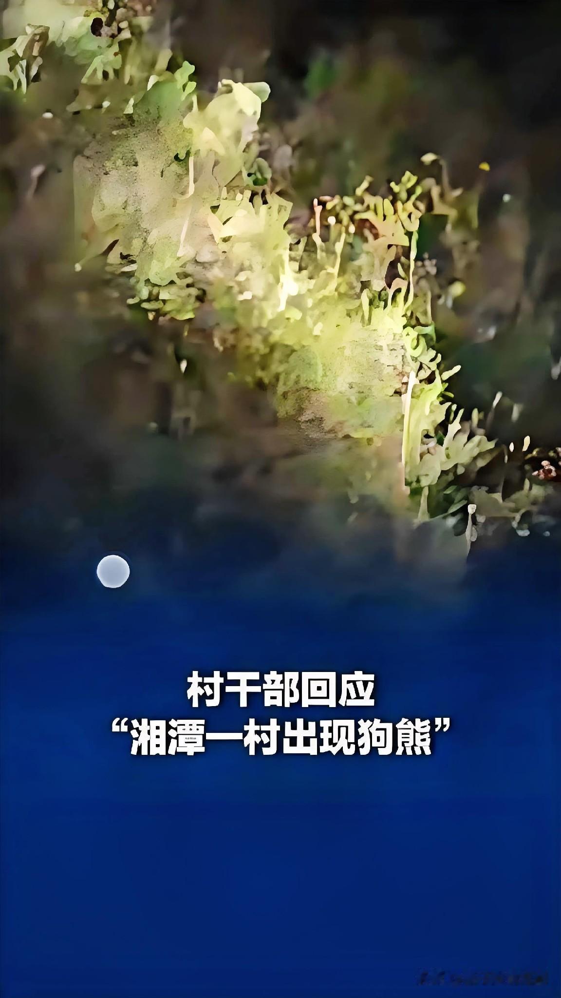 不少湘潭本地村民前几天刷到一段深夜野外拍熊的视频，定位标着湘潭元山冲，配的还是本