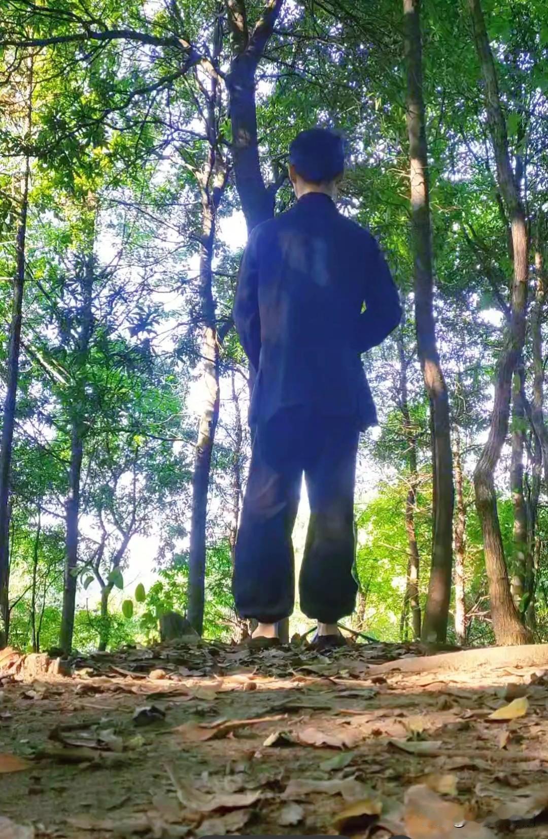 睡仙功，其实真正理解到行住坐卧皆在修的人，必定掌握着那至关重要的一点，那咯噔往下