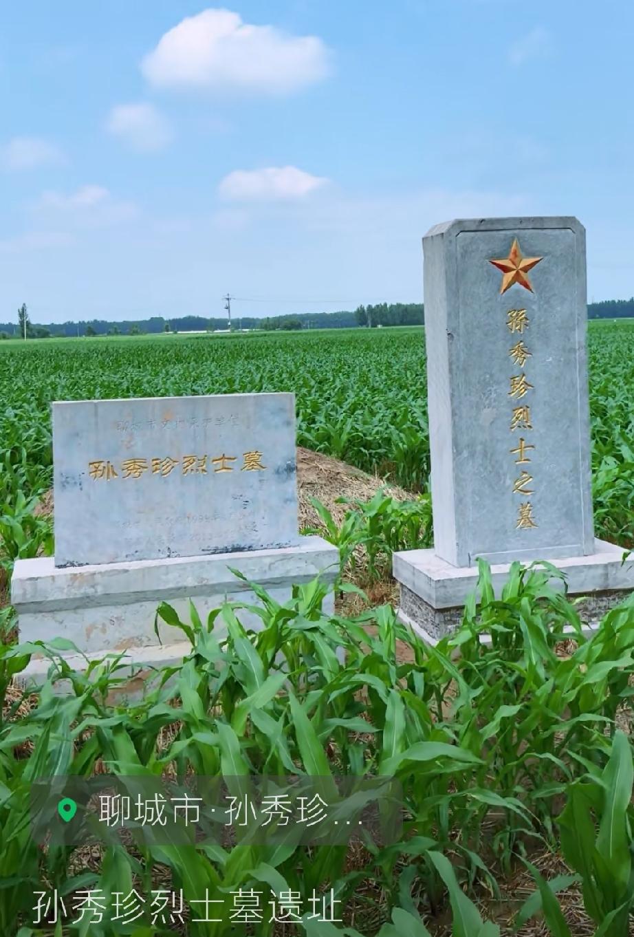 孙秀珍烈士之墓
位置：山东省聊城市东阿县鱼山镇鱼中村西800米处
孙秀珍（192