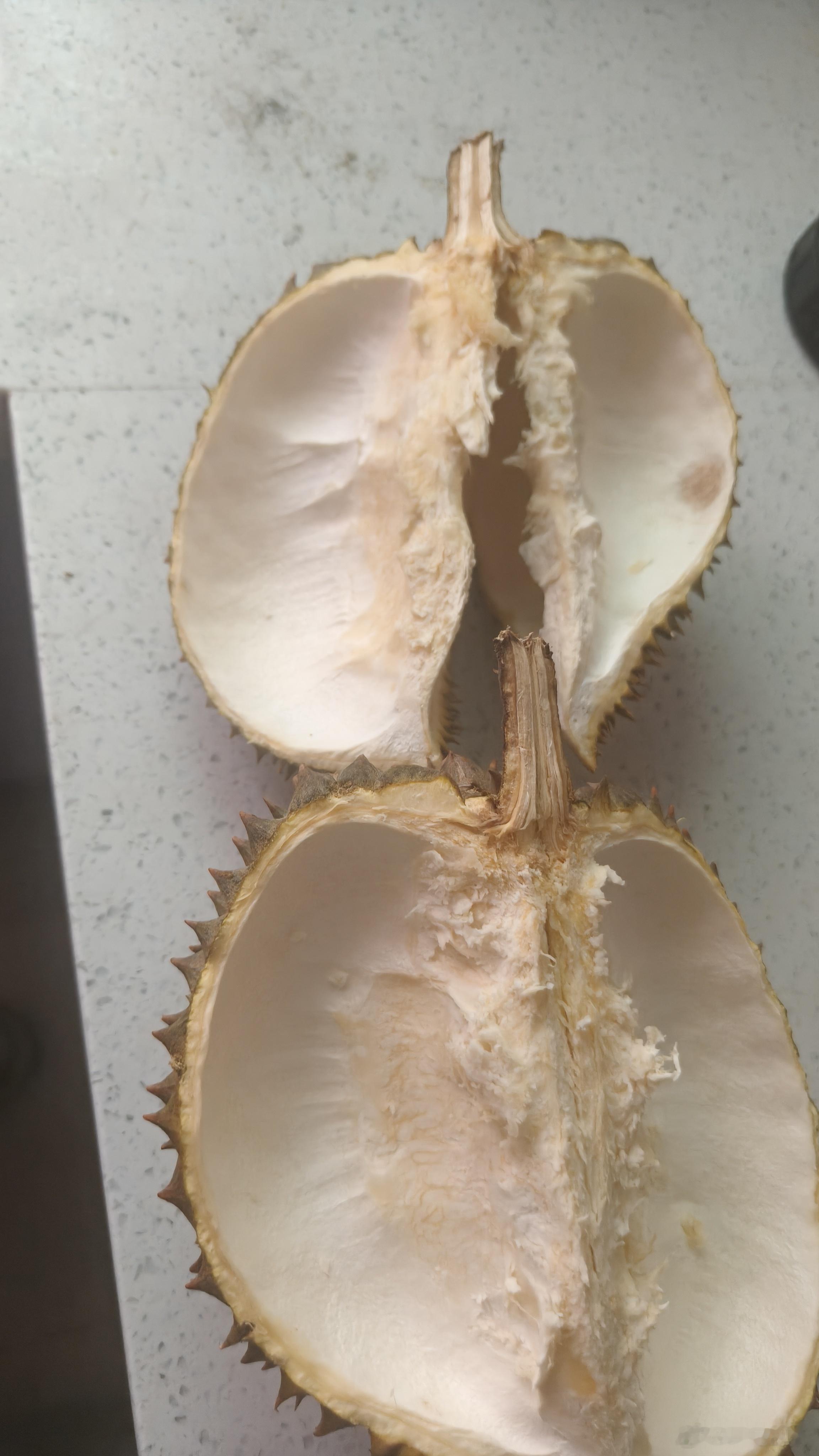 生活手记家里的小馋宝今天着实让我大开眼界，一餐居然把一整个榴莲全都吃完了。看着她
