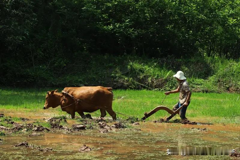 看到“勤勤恳恳耕田地”这个上联，我一下子就来了兴致。这上联描绘了一幅农民辛勤劳作