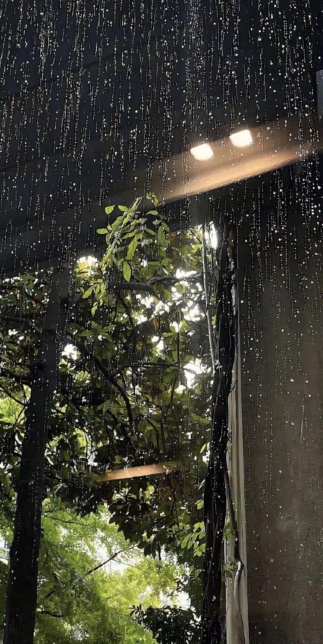 雨天宜慢，宜发呆，宜享受片刻的岁月静好。 ​​​