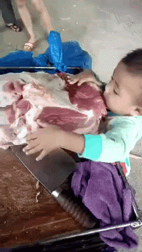 食物链顶端的男人