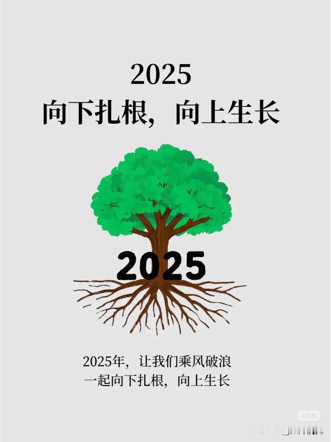 2025年,向下扎根,向上生长