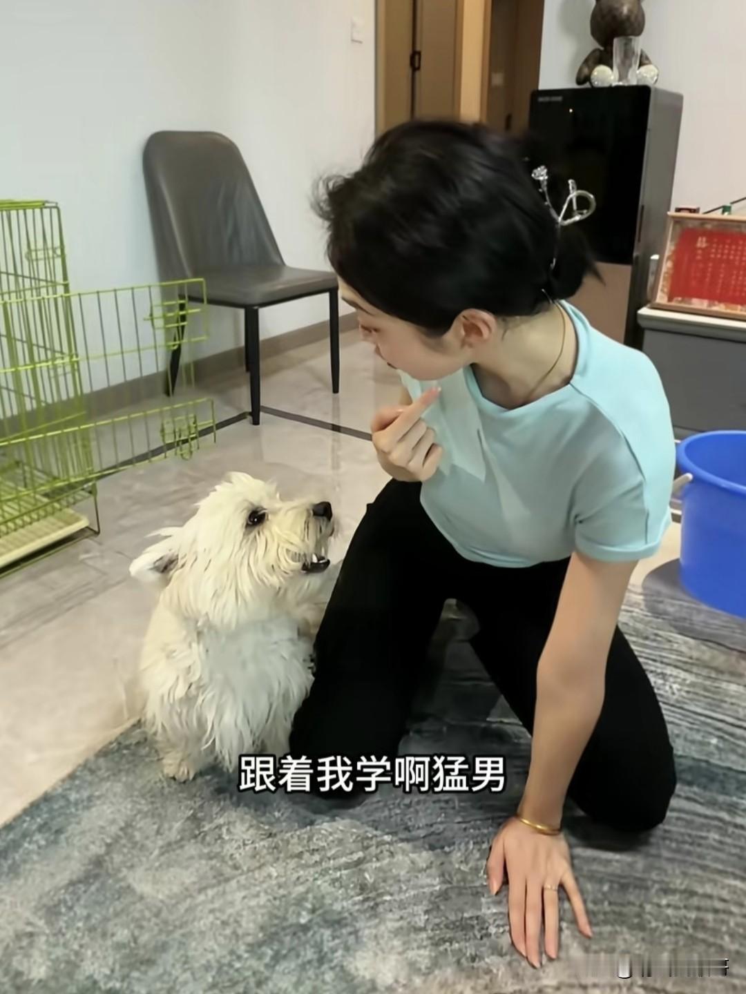 我就想知道他是怎么劝说他老婆这么配合的？今天刷到一对夫妻拍摄的一段搞笑的训狗视频