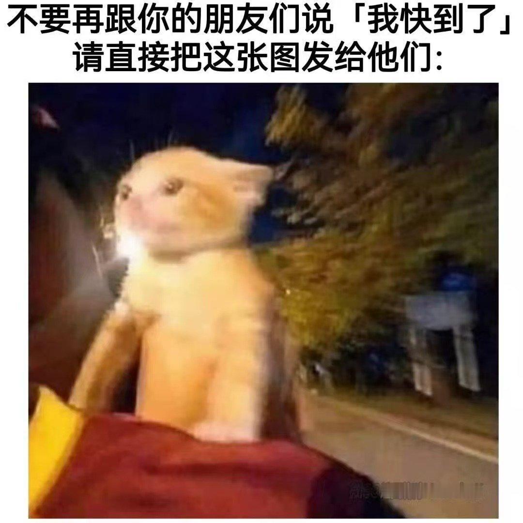 风驰小猫 