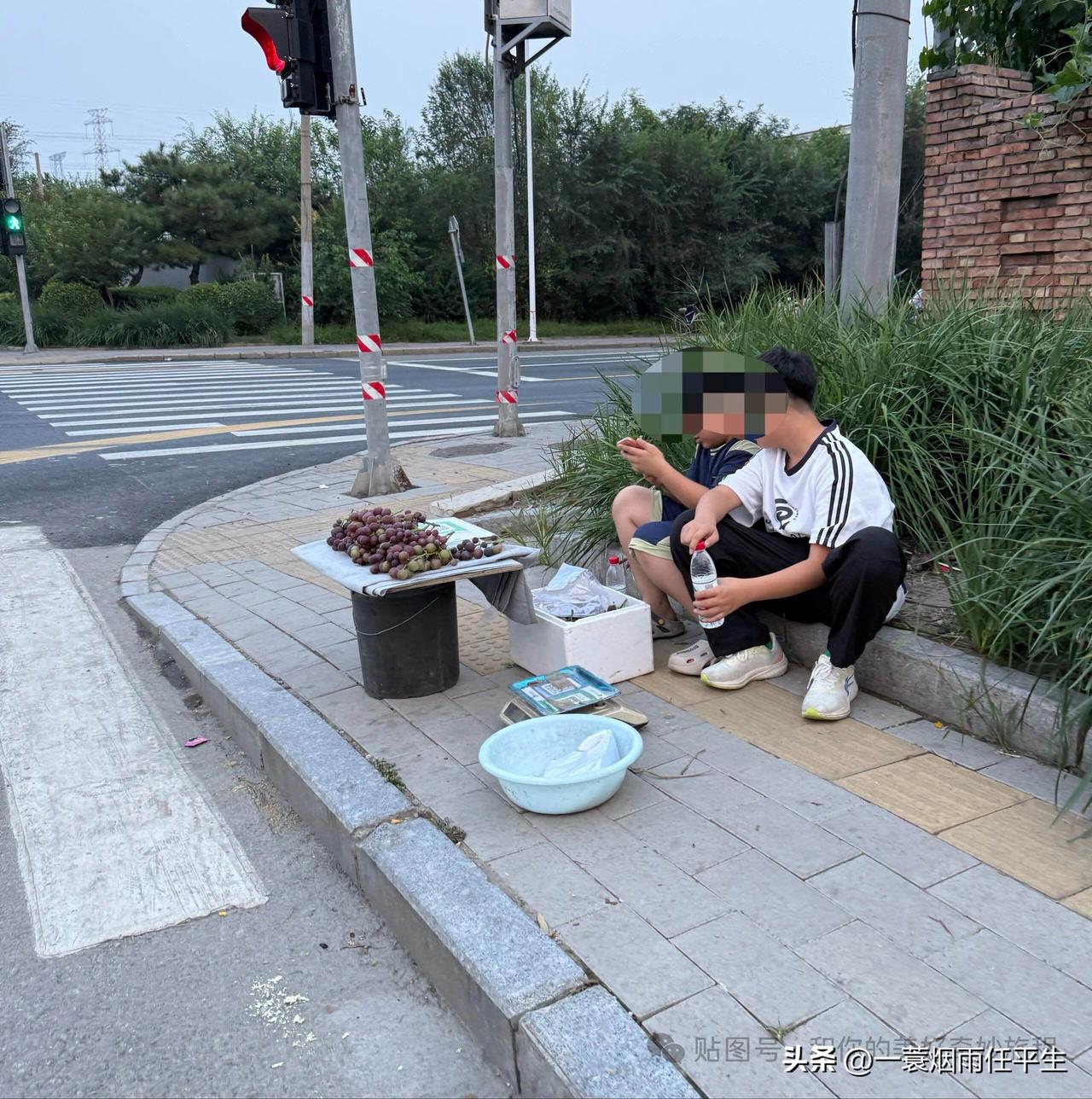 学习那么难，还不如早点儿当老板[我想静静][我想静静][我想静静]