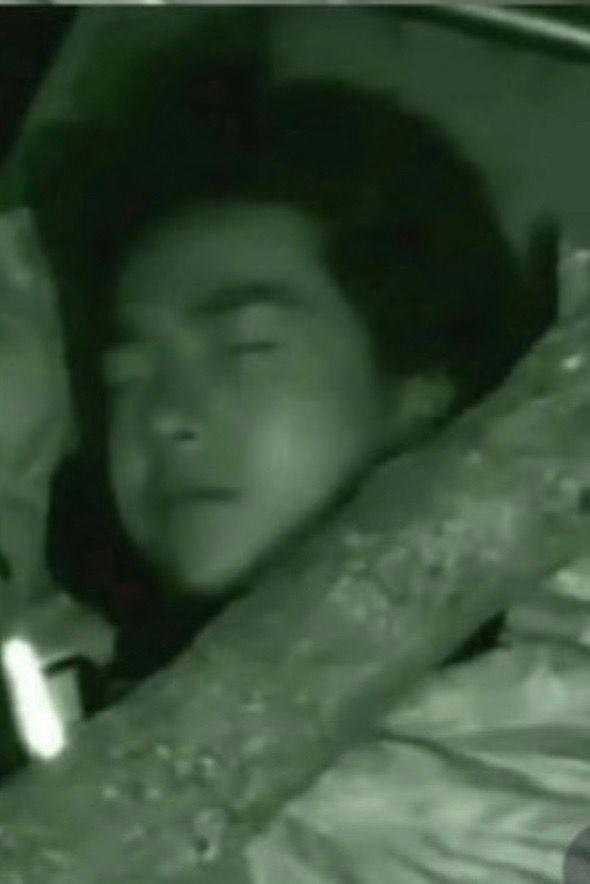 为什么是猪呢🥺🥺🥺 
