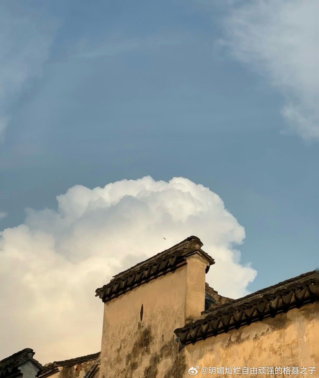 计划就是，一生自由，在千千万万个选择里 