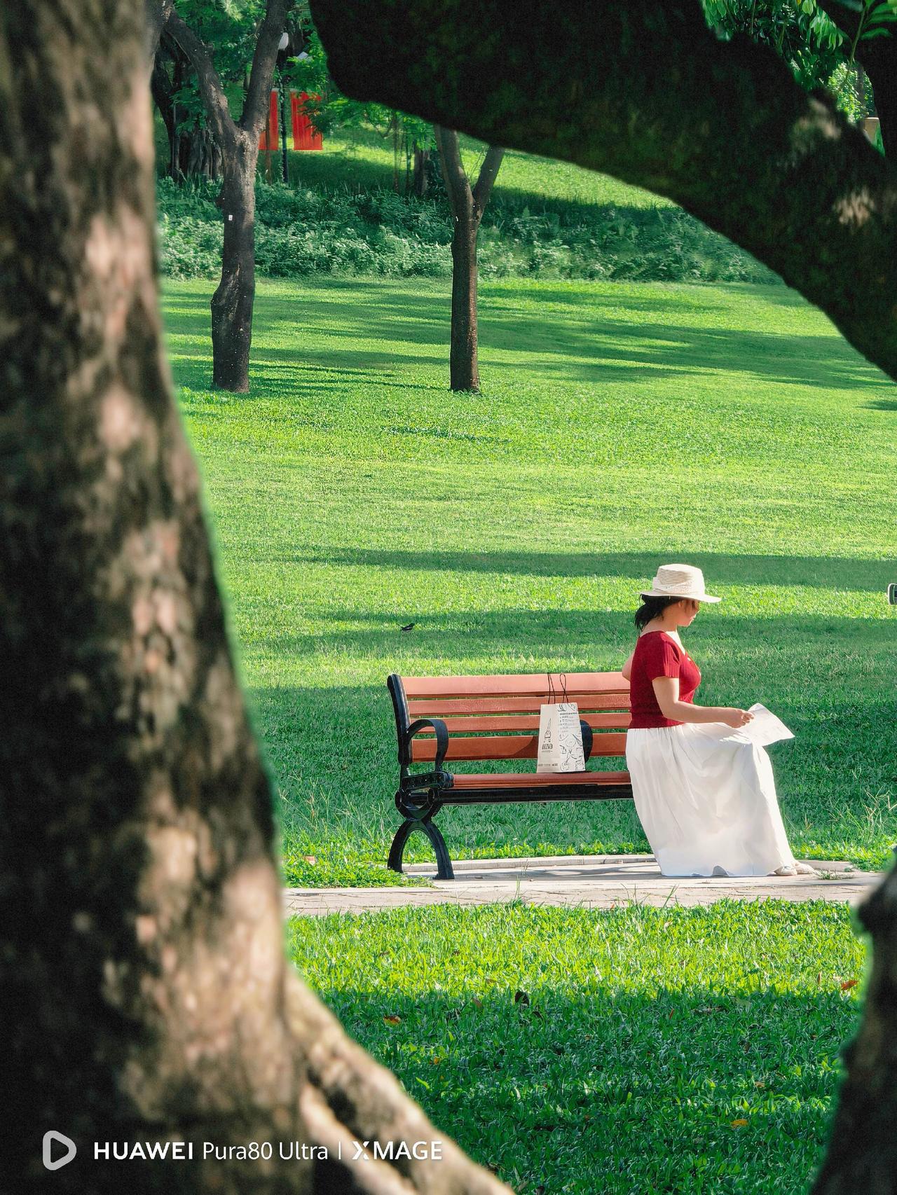在我评论区有人挺搞笑的，我说相机需要学曝光三要素，要懂测光、要懂光圈的景深，要用