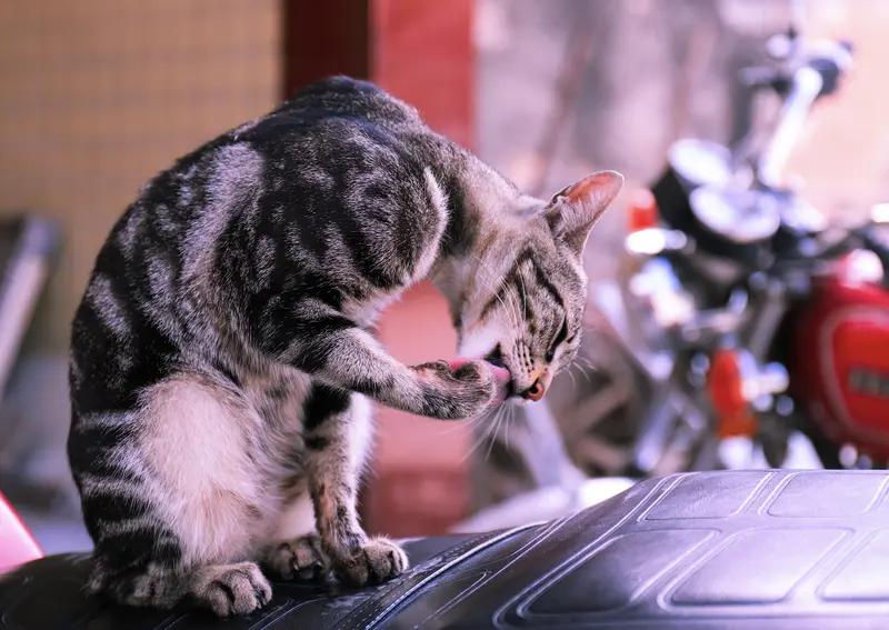 周六休息，分享一下爆炒野路子，2个月净赚10万。

朋友炒股从不看技术指标，也不