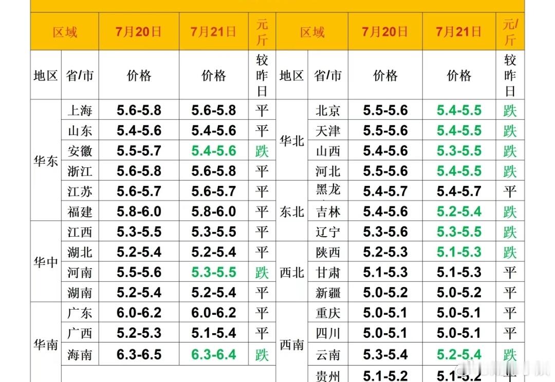 每日猪价 