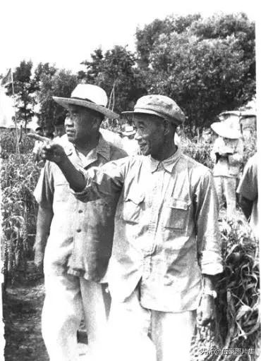 1958年8月12日，朱德元帅视察抚宁县卢王庄乡东方红农业社和王各庄乡东升农业社