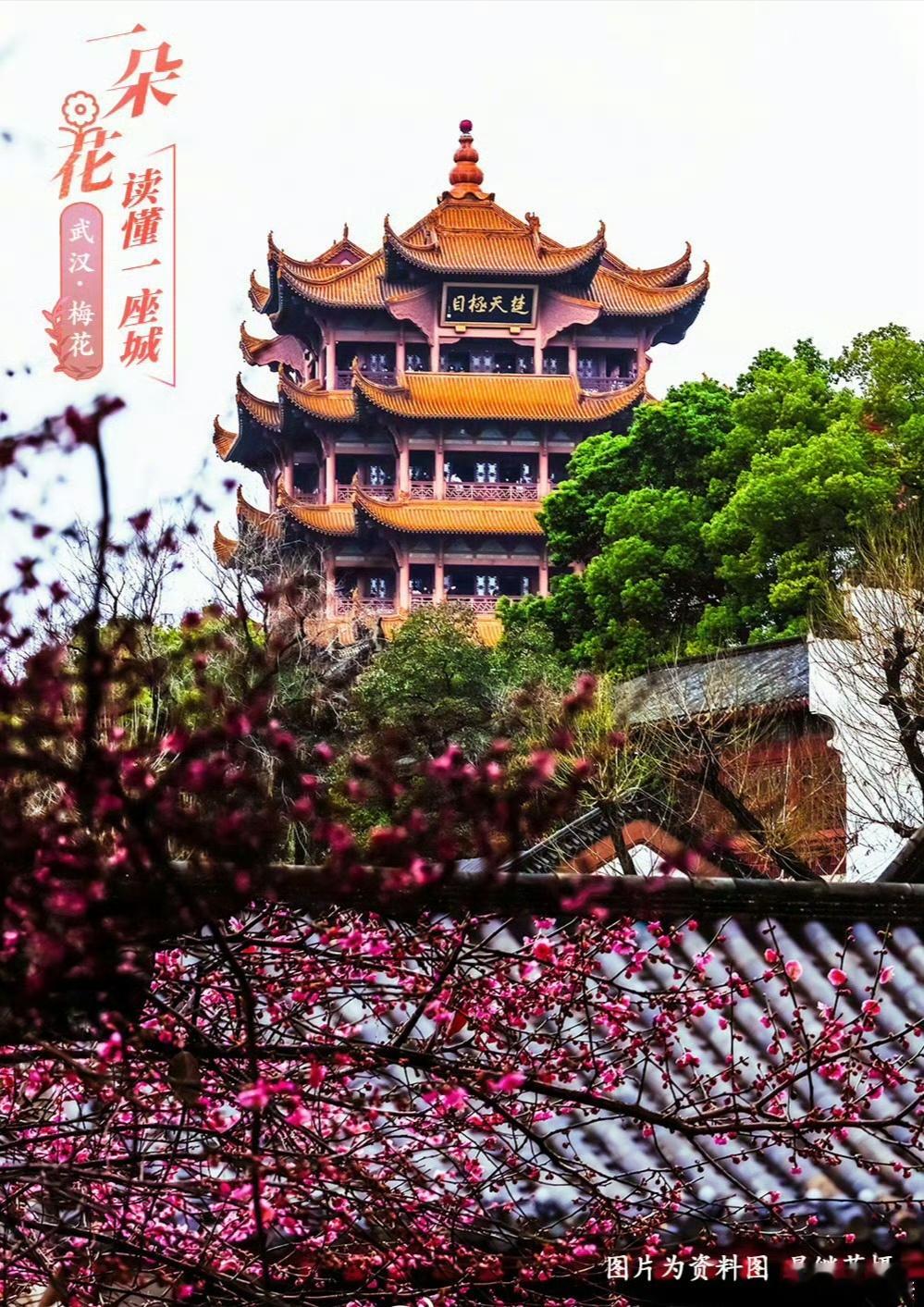 早安早安,新的一天治愈不开心人生感悟人生微语早安心语 情感语录每天说早安心情日记