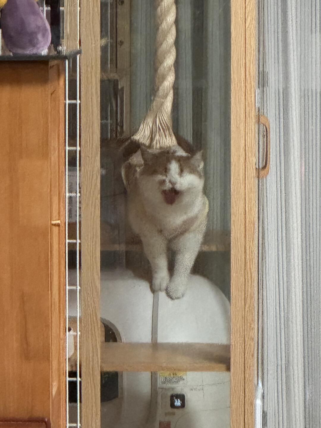 怎么一回家看到我就犯困的吗