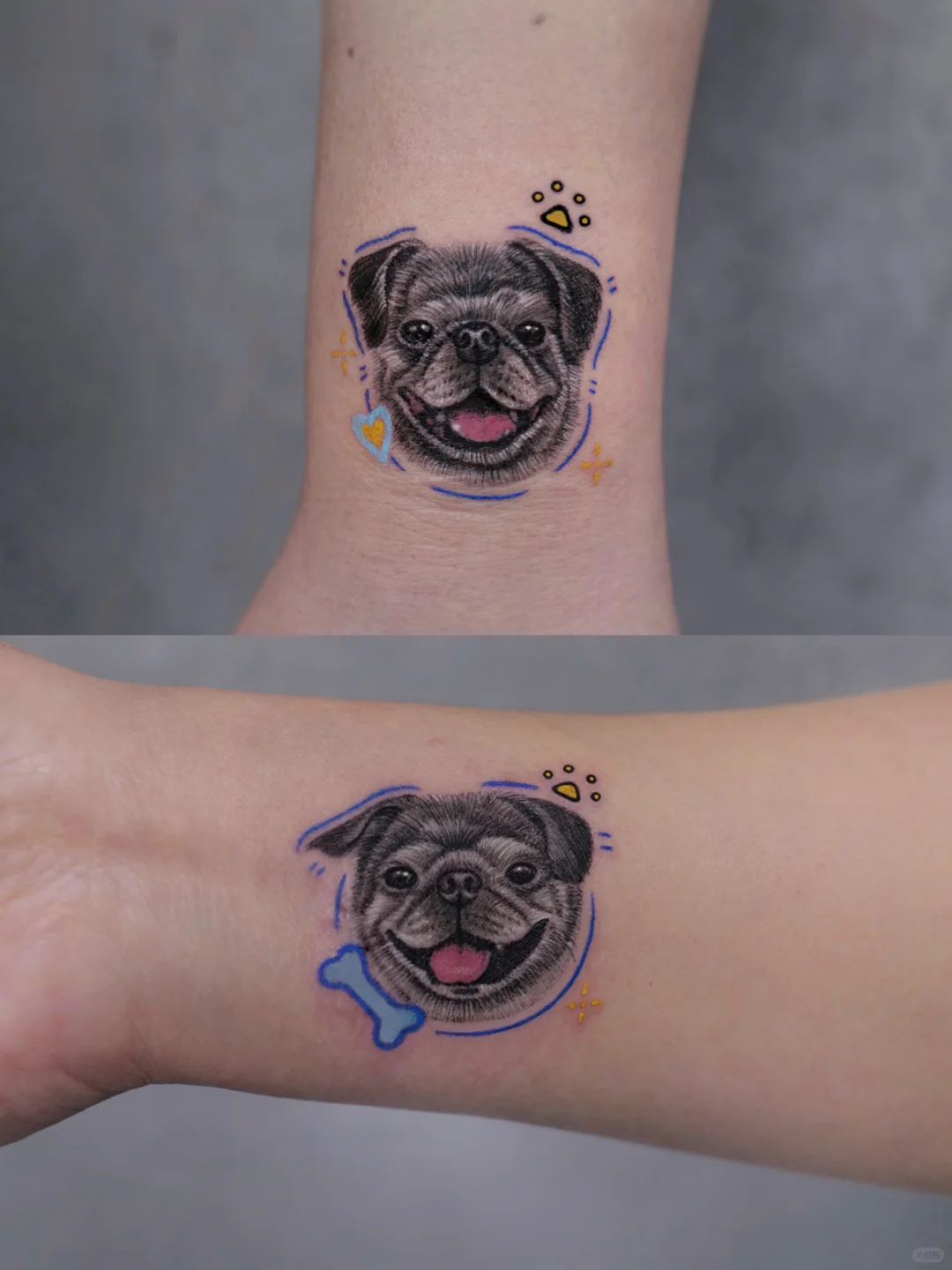 🦴小狗是生活的解药🐾｜温哥华