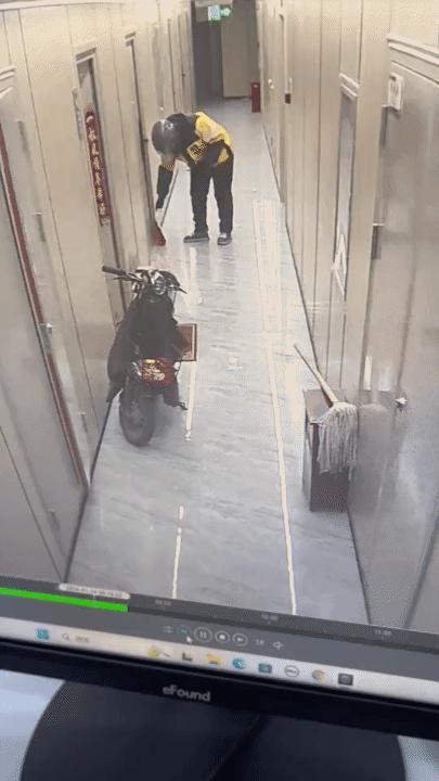 怎么办，把商家投诉到底裤都没了，查了监控才发现是这个小东西搞的鬼[笑哭]