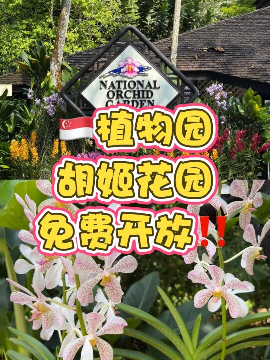 📍新加坡胡姬花园免费开放啦！门票原价$15，现在0元进园！⛲️✨ ⚠...