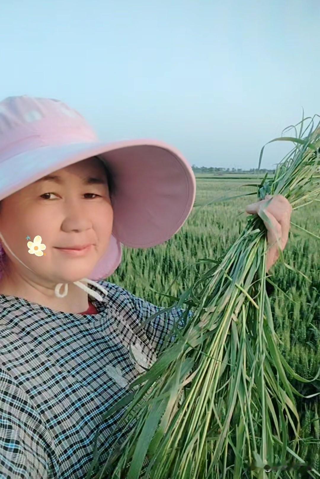 分享我这周有趣的事：人到中年是不是不想旅游了
邻居的一句话，年轻人咋那么爱旅游，