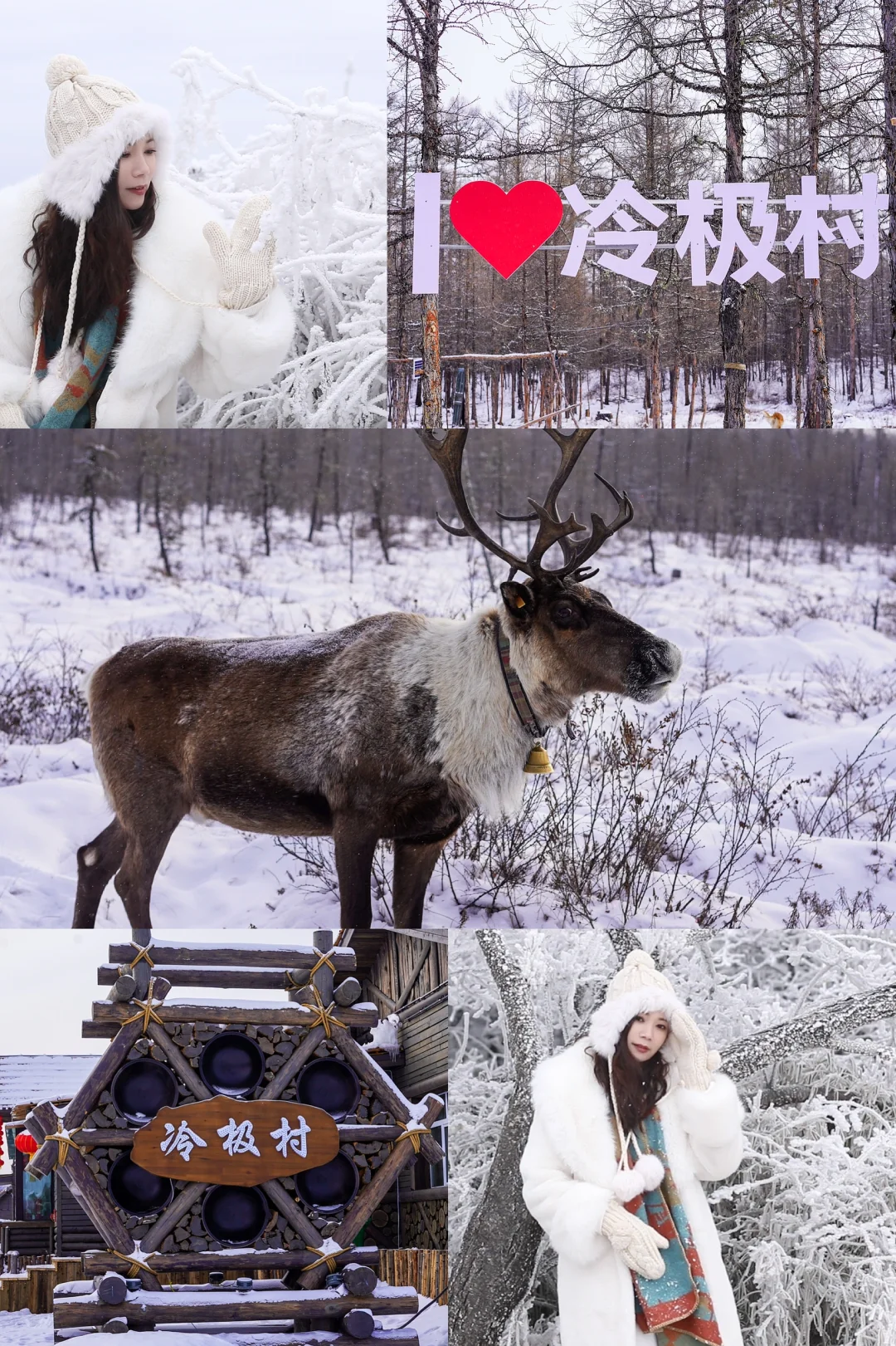 绝绝子的冷极村，南方小土豆们的玩雪圣地‼️