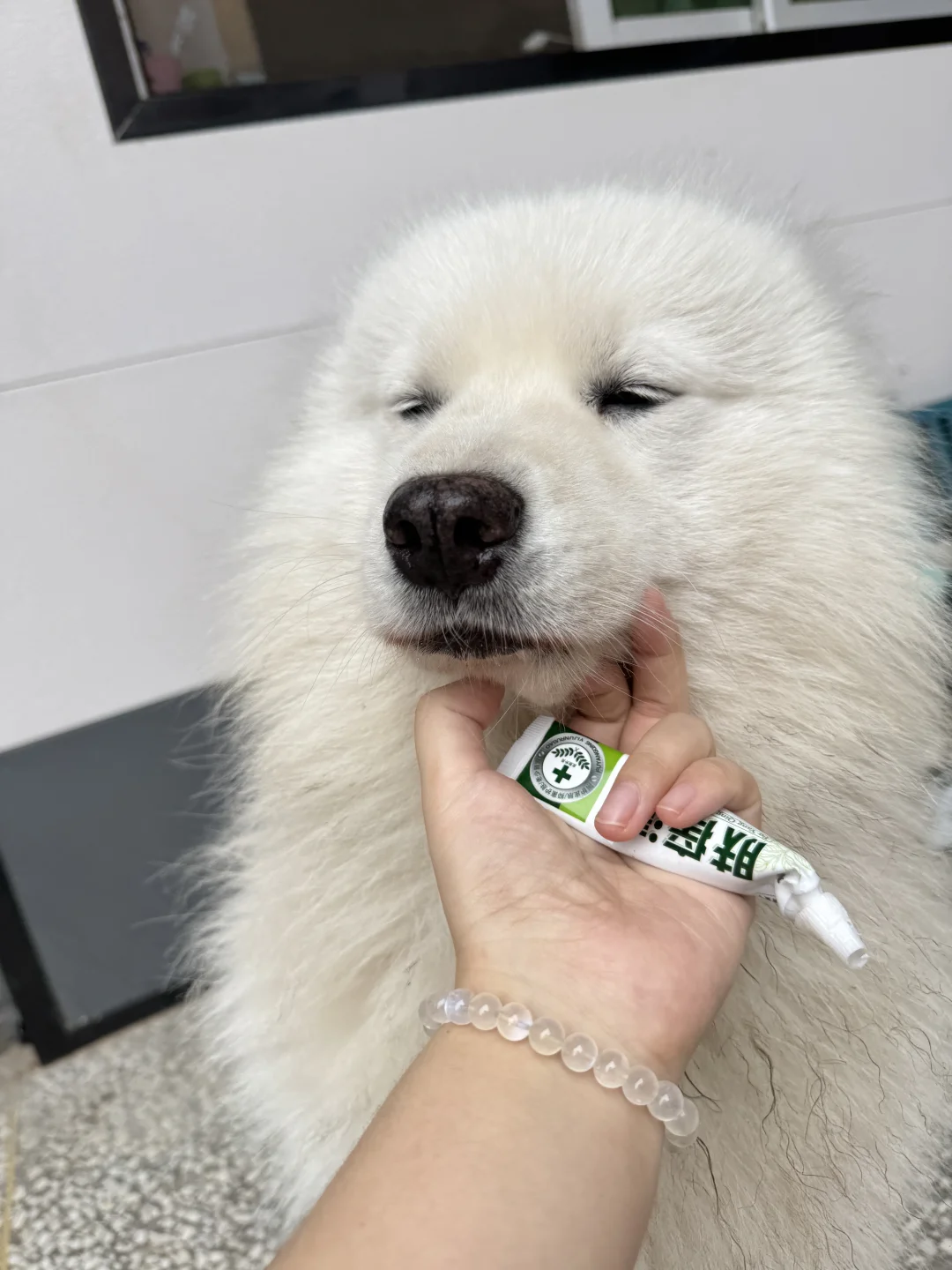 我只是嘴巴痒痒~