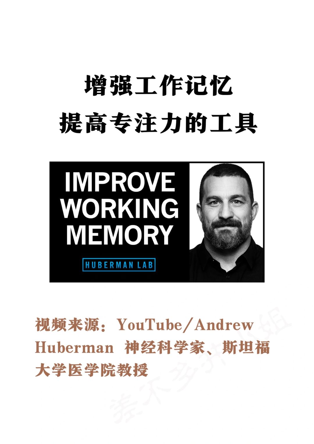 🎓斯坦福教授：增强工作记忆🧠专注力工具