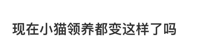 现在小猫领养都变这样了吗❓ ​​​