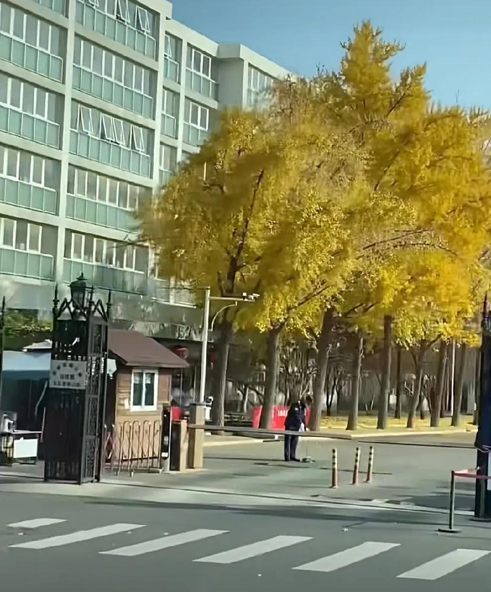 不知道拍楚钦能赚多少钱？
反正每次机场总局，
只要有他的地方都是人。
围着拍，跟