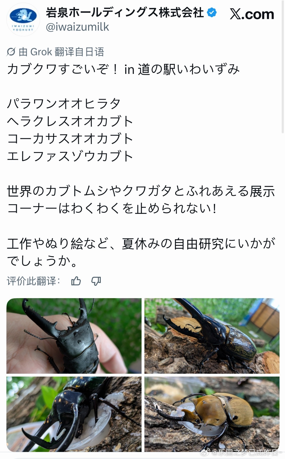 疑似岩泉牛乳官号被岩泉一异地登录 