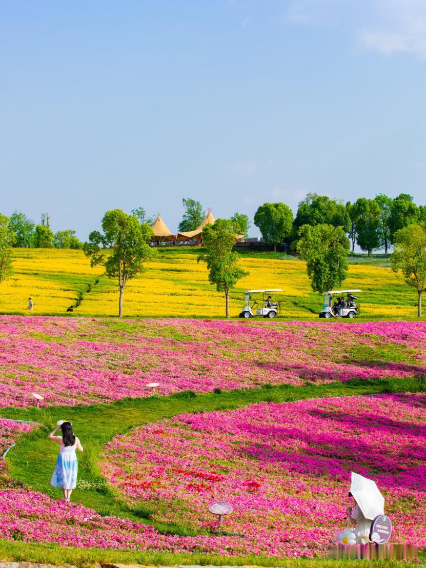 心是口袋，少装才幸福
 
人的心，就像一只随身的口袋，看似不大，却装得下情绪、执