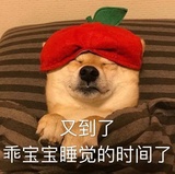 小白猪热说历史