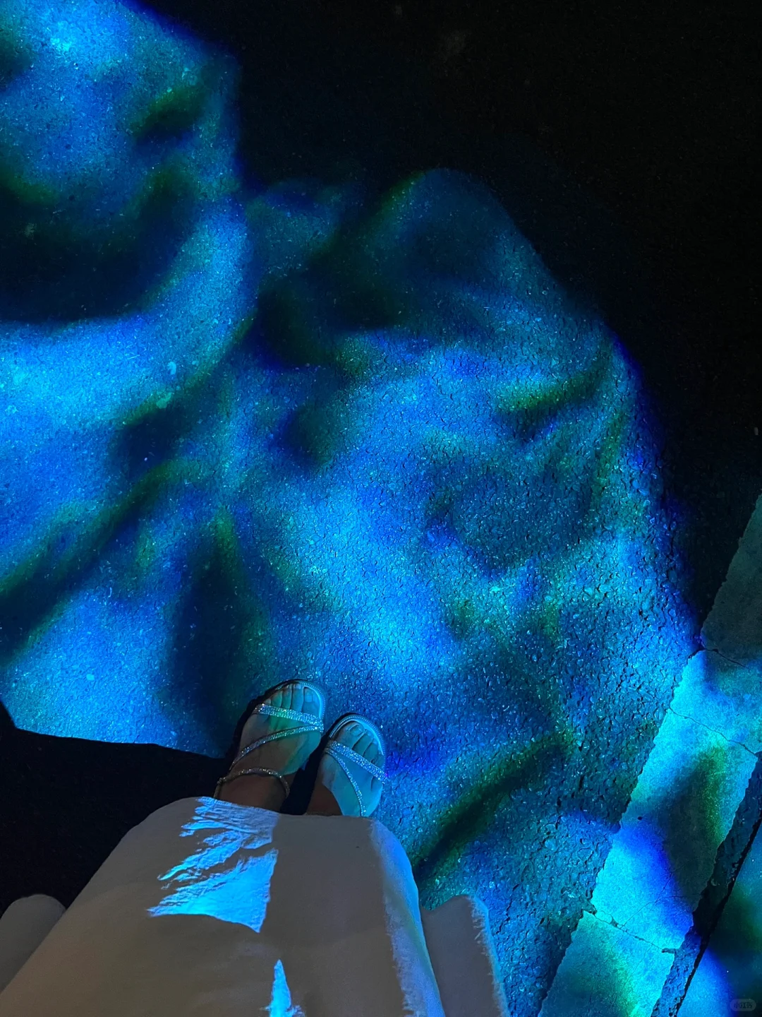 夏日最后的浪漫是植物园给的😘洛神繁华夜🌃