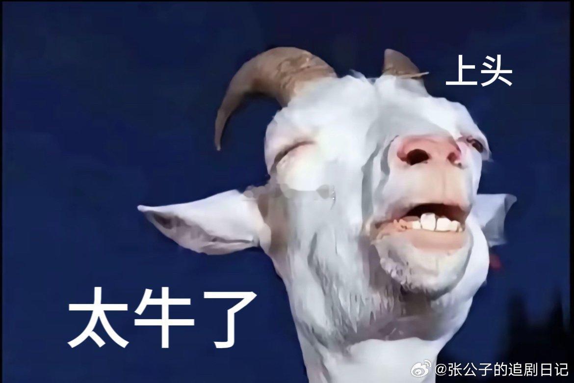 快把孜然浇周兴哲汪苏泷头上声生不息汪苏泷rap丝滑到飞起，周兴哲那句吟唱直接戳中