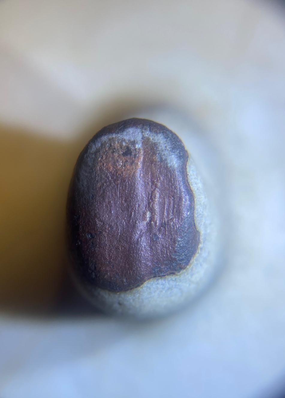 这张显微特写里的氧化痕迹，是非常典型的自然老化特征，我们可以从几个关键维度拆解：