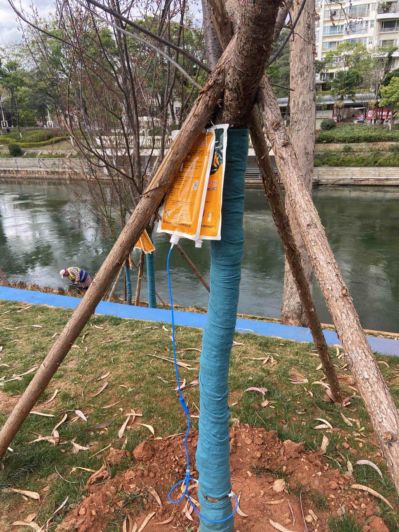 今天又是迫不及待的出门跑步，不讲速度，也不讲跑多远，只是跑一跑动动身体，促进血液