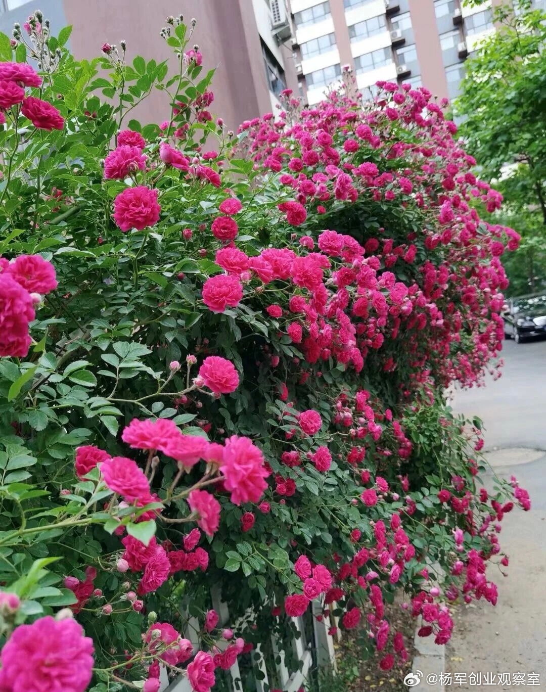 很多企业家纠结于分股权的具体比例真正顶尖的股权设计，玩转的是 “数量动态” ——