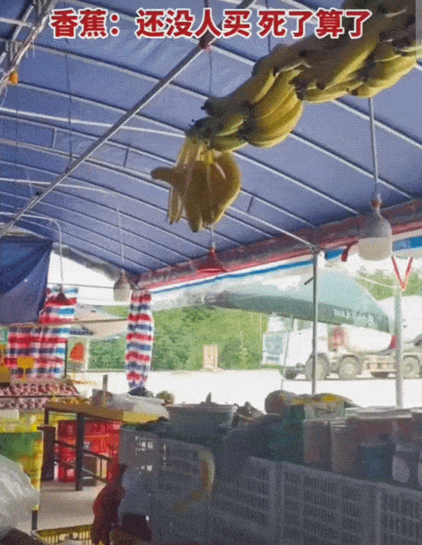 下次请直接掉我嘴里