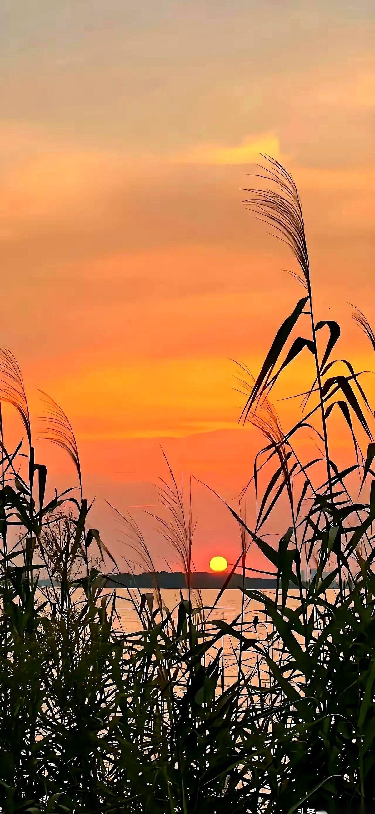 西安交大肿瘤外科主任王健生，撂下一句话，听得人后背发凉。
他说，很多癌，就是被气