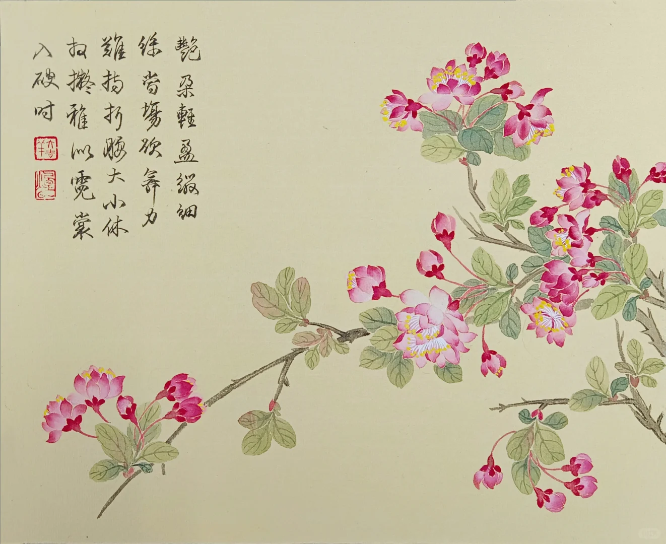 国画‖没骨花卉册页2