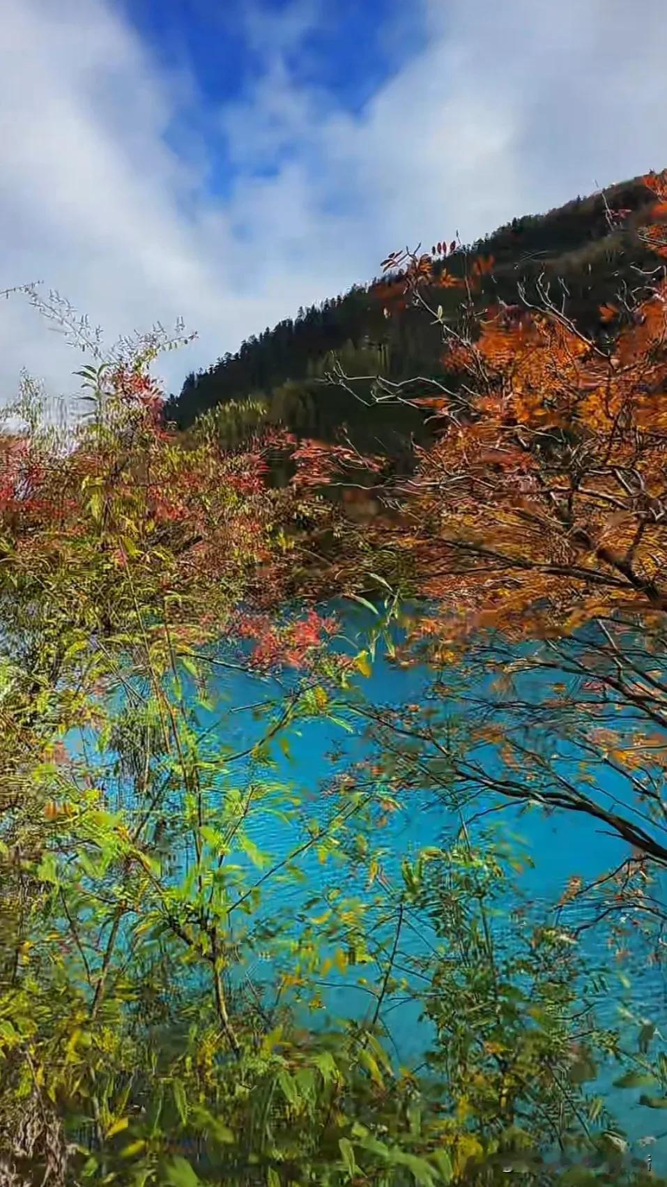 #分享一张自然风景的照片#九寨沟的风景，如诗如画。