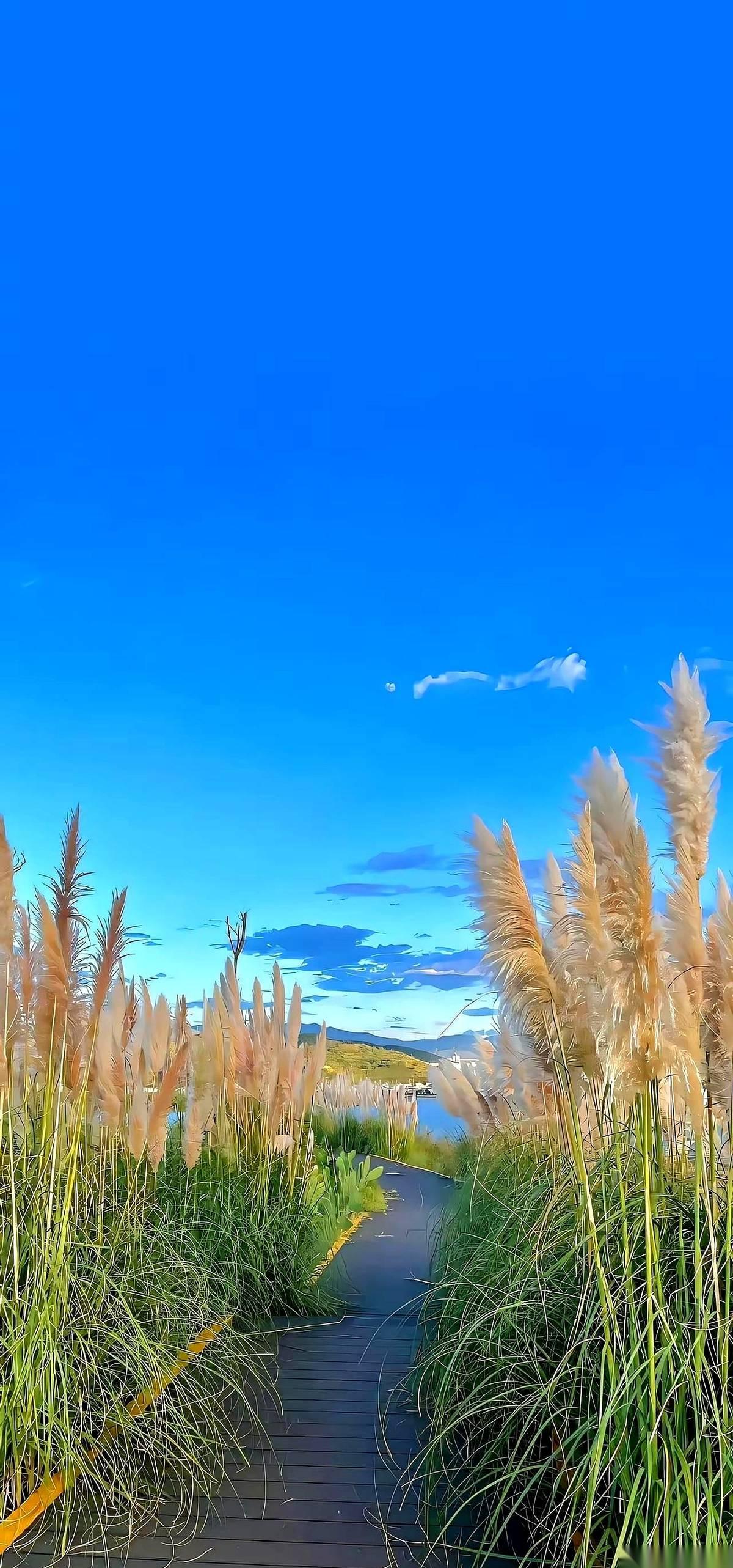 为什么一幅画那么美？
因为它屁用没有。
为什么生活有时那么累？因为它处处都是算计