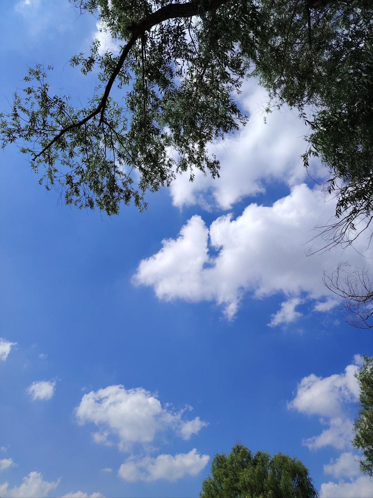 随手一拍的一张天空照老家陕西的天空照，晴朗且干净