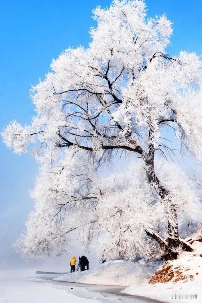 雪树银花寒食节，冰天雪地雪花飞。心存明媚，岁得温暖
