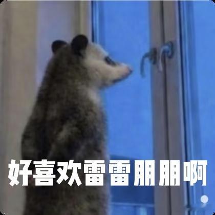 遇到雷朋感觉这辈子嗑cp都定型了已经想不起之前不嗑雷朋的时候我在干嘛了不管现实还