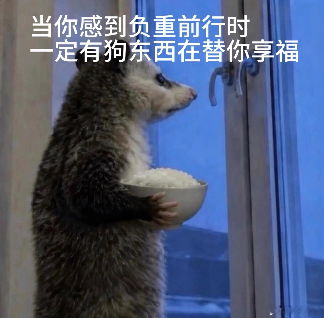 终于把自己玩脱了，发烧了